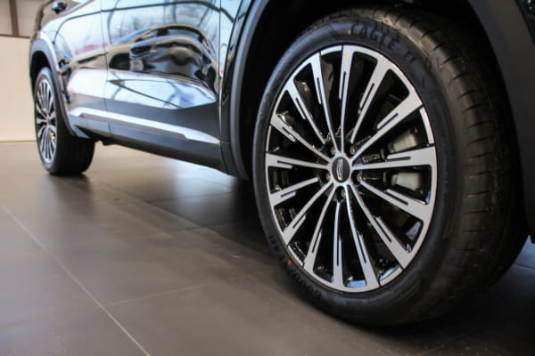 Geely <br>Monjaro
